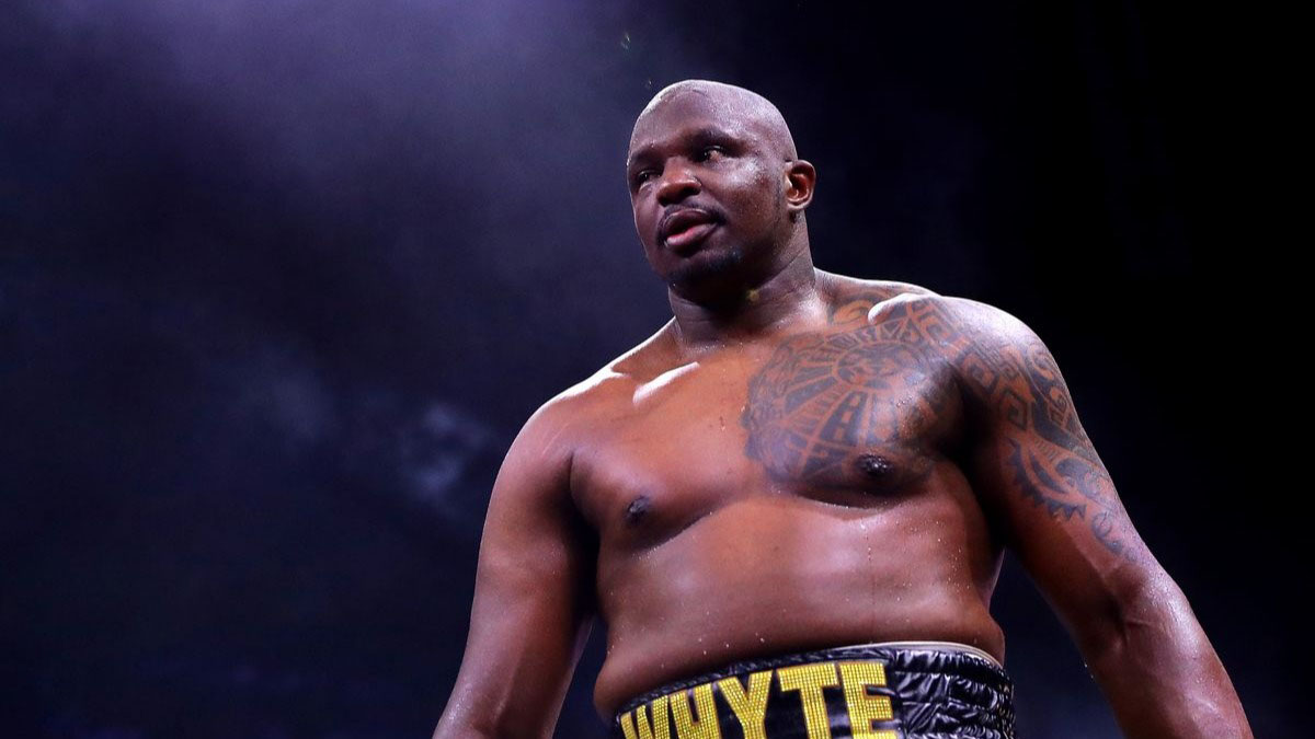 Dillian Whyte Dillian Whyte (/?d?li??n/; born 11 April 1988) is a British professional boxer, and former kickboxer and mixed martial artist. He has held the WBC int...